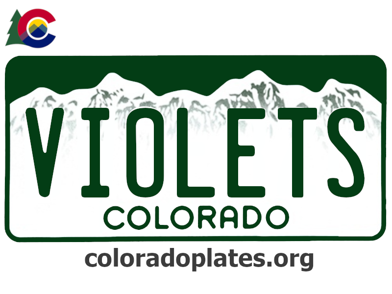 Colorado license plate with the text VIOLTES along with the Colorado state logo and coloradoplates.org
