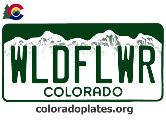 Colorado license plate with the text WLDFLWR along with the Colorado state logo and coloradoplates.org